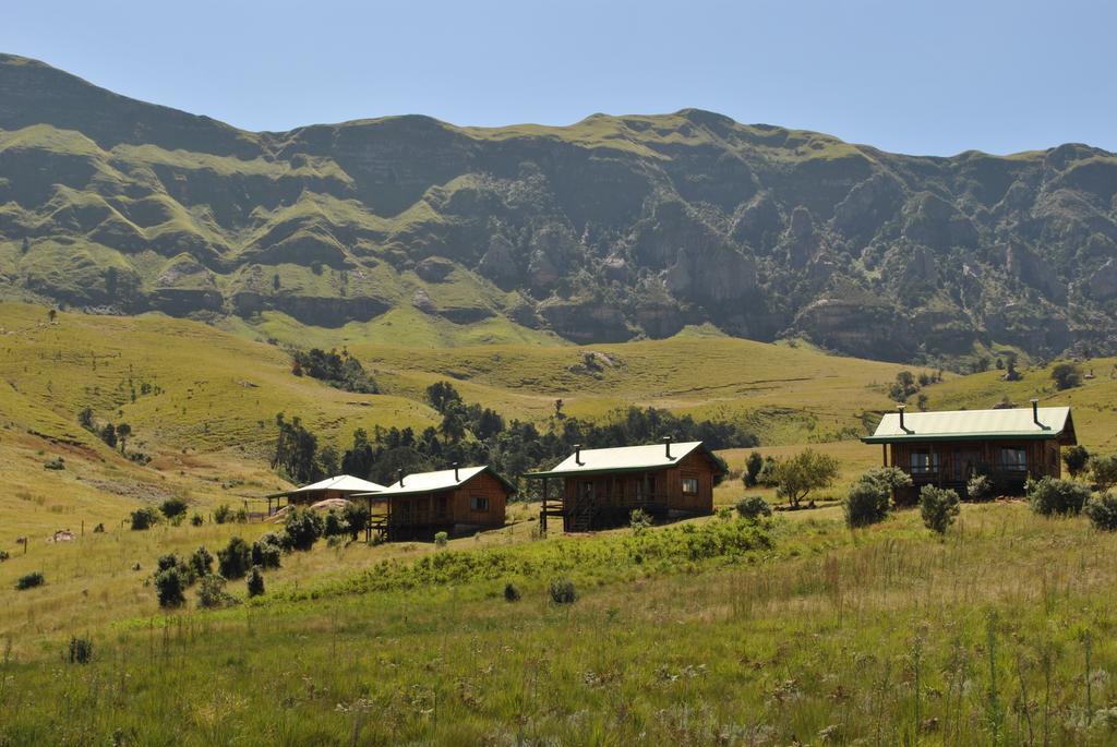 Greenfire Drakensberg Lodge Bonjaneni 객실 사진